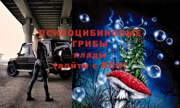 гидропоника Верхнеуральск