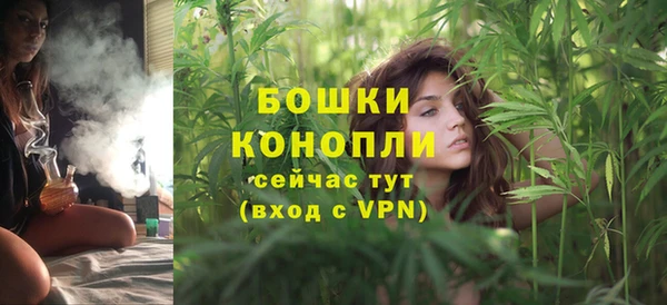 стафф Верхний Тагил