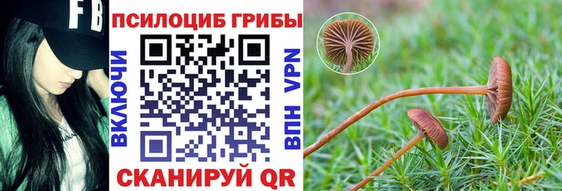 Купить закладки  Нижняя Салда  Галлюциногенные грибы MAGIC MUSHROOMS 